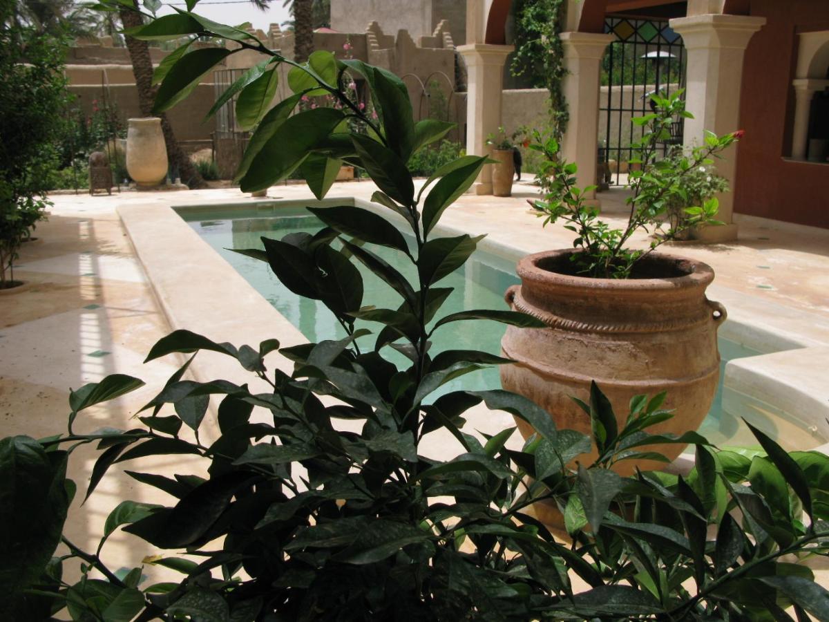 Riad Chant D'Etoiles Tadighoust El Hara Dış mekan fotoğraf