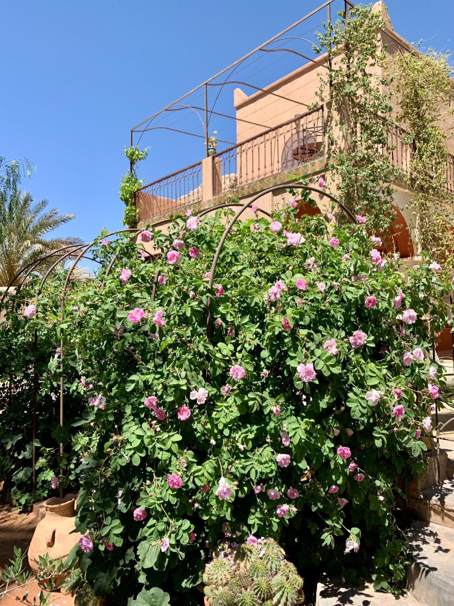 Riad Chant D'Etoiles Tadighoust El Hara Dış mekan fotoğraf
