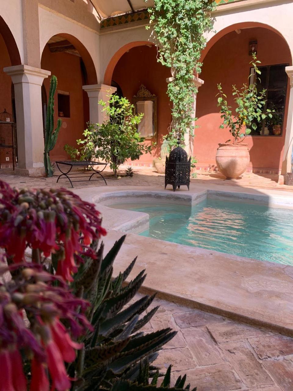 Riad Chant D'Etoiles Tadighoust El Hara Dış mekan fotoğraf